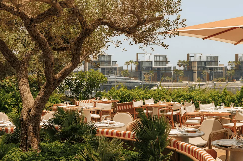 5 ресторанов, куда обязательно надо попасть, если вы в Дубае