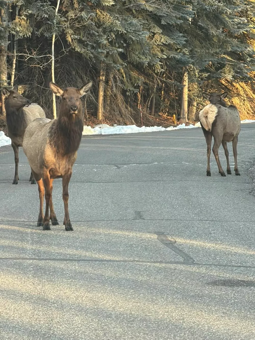 Румер Уиллис сфотографировалась в бикини с дочкой на руках Румер Уиллис сфотографировалась в бикини с дочкой на руках