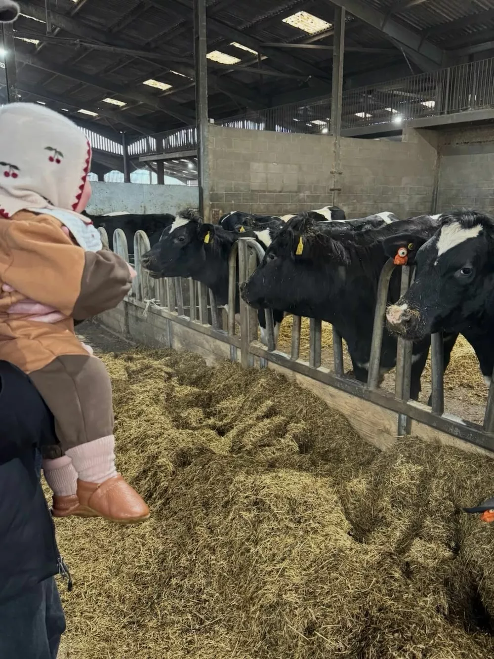 Звезда "Эмили в Париже" Лили Коллинз показала редкие фото годовалой дочери Звезда "Эмили в Париже" Лили Коллинз показала редкие фото годовалой дочери