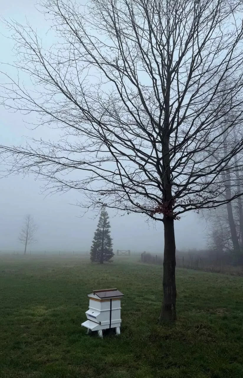 Дэвид Бекхэм показал, как провел выходные на фоне конфликта с сыном Дэвид Бекхэм показал, как провел выходные на фоне конфликта с сыном