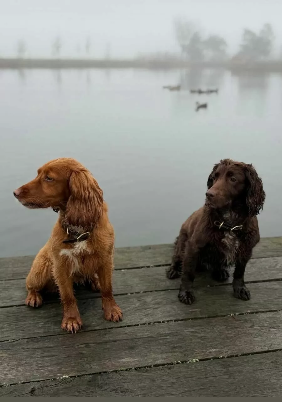 Дэвид Бекхэм показал, как провел выходные на фоне конфликта с сыном Дэвид Бекхэм показал, как провел выходные на фоне конфликта с сыном