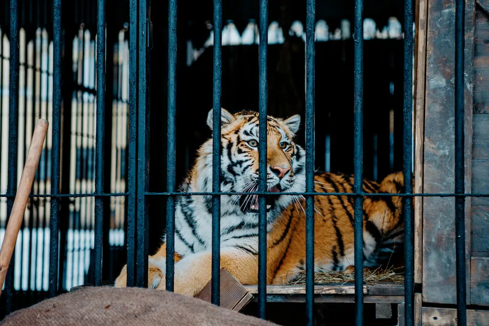 Стася Милославская: "Часто принимаю решения через полный отказ"