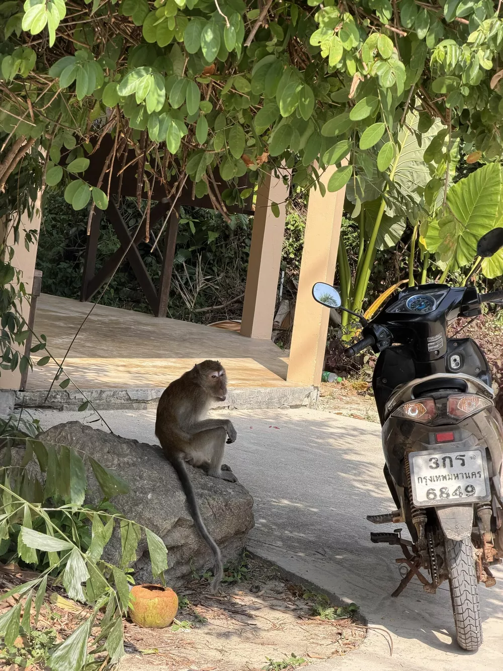 Топ-5 лучших мест в Таиланде: личный рейтинг певца NORIS