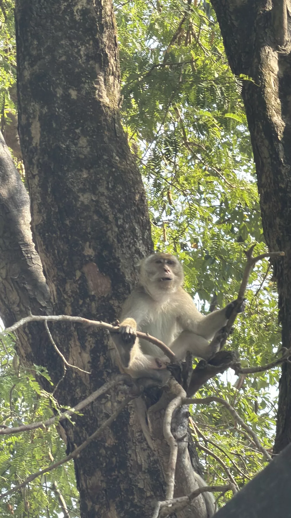 Топ-5 лучших мест в Таиланде: личный рейтинг певца NORIS
