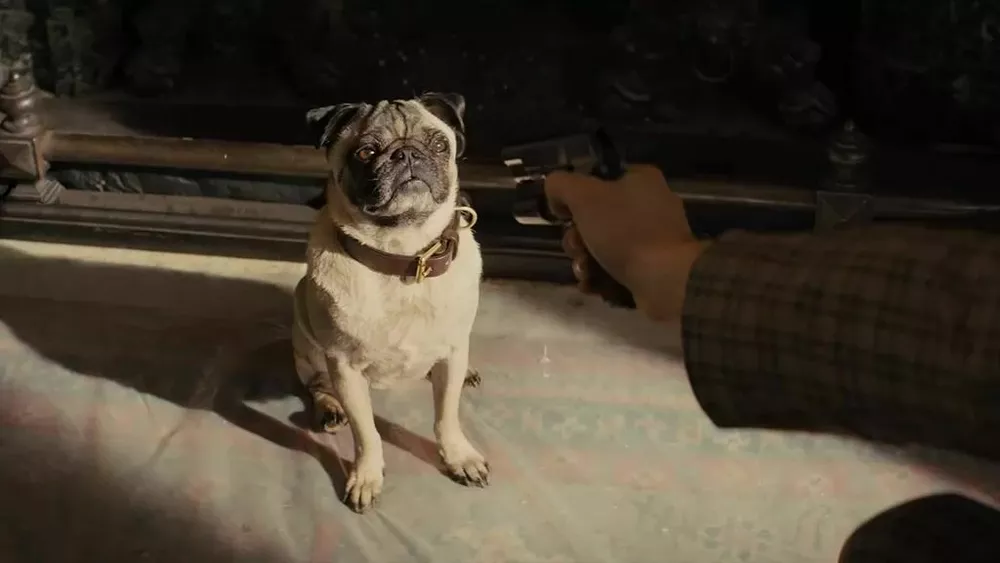 Бублик, пухлик и батон: культовые мопсы кинематографа