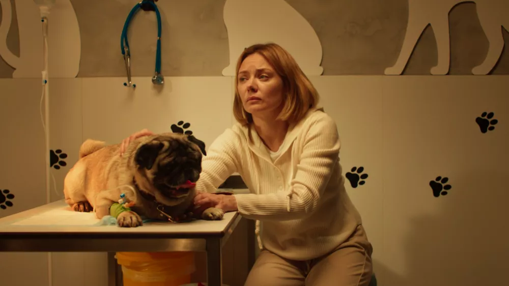 Бублик, пухлик и батон: культовые мопсы кинематографа