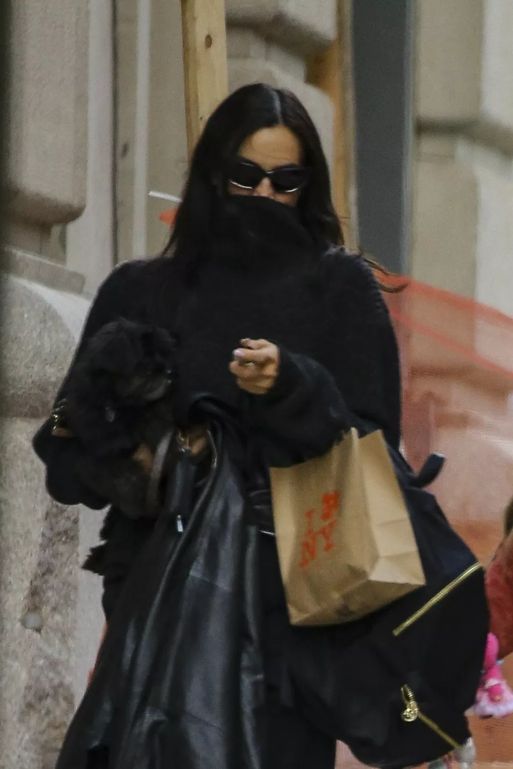 
                Ирина Шейк в маске гуляет по Нью-Йорку с дочерью Леей и очаровательным черным щенком            