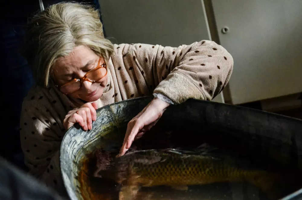 Все ради родных: 6 лент, где семья идет на подвиги ради спасения близких
Все ради родных: 6 лент, где семья идет на подвиги ради спасения близких