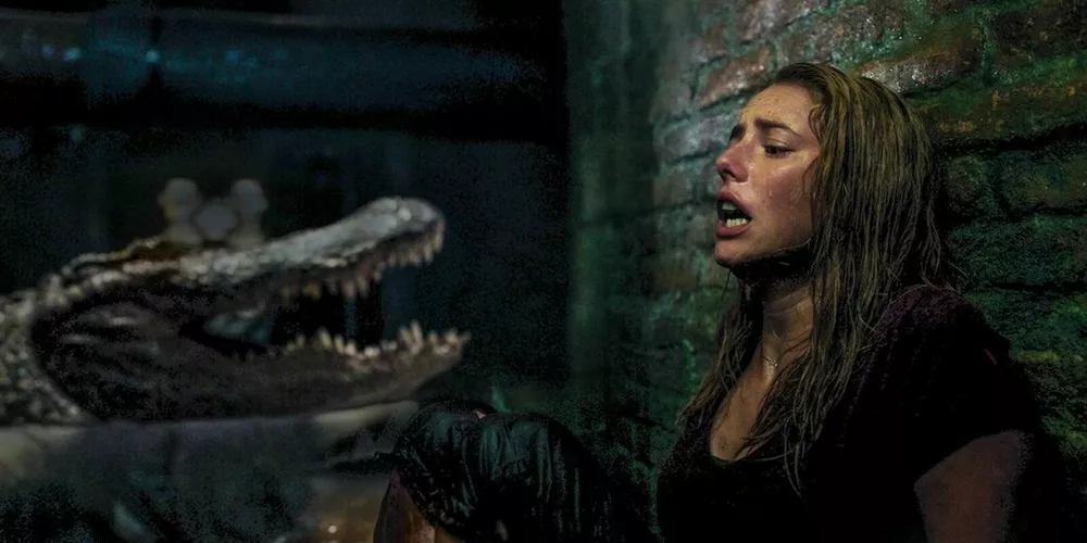 7 главных ролей Кайи Скоделарио: от дерзких подростков до криминальных королев
7 главных ролей Кайи Скоделарио: от дерзких подростков до криминальных королев