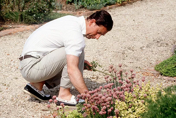 Принц Чарльз любит заниматься садоводством
