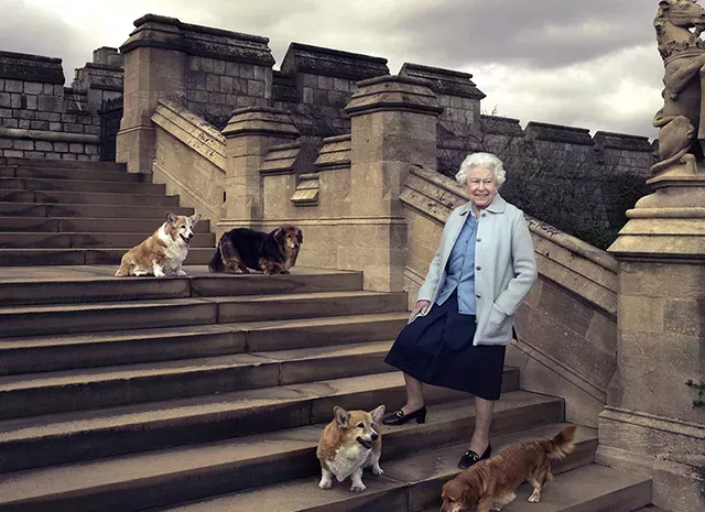 Елизавета II дала необычные клички своим новым собакам