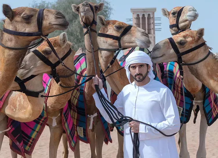 Наследный принц Дубая Хамдан стал отцом двойни