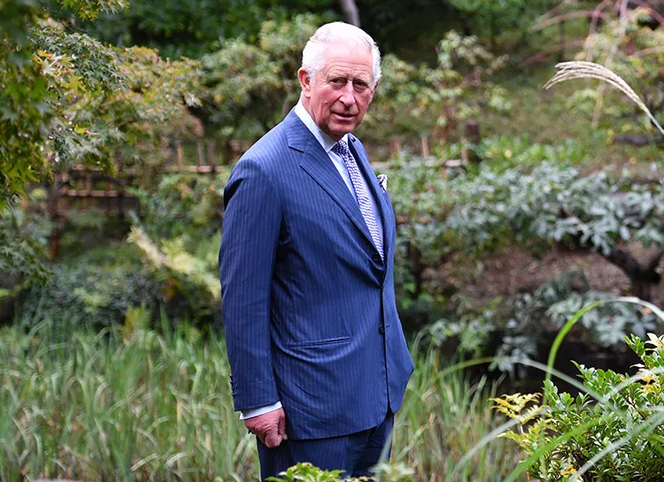 Принц Чарльз впервые появился на публике после заражения коронавирусом и рассказал о своем опыте жизни с COVID-19