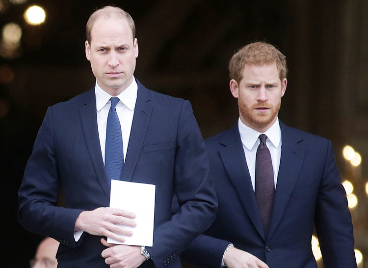 Принцы Уильям и Гарри не общаются несколько месяцев: королевский фотограф о том, почему это произошло