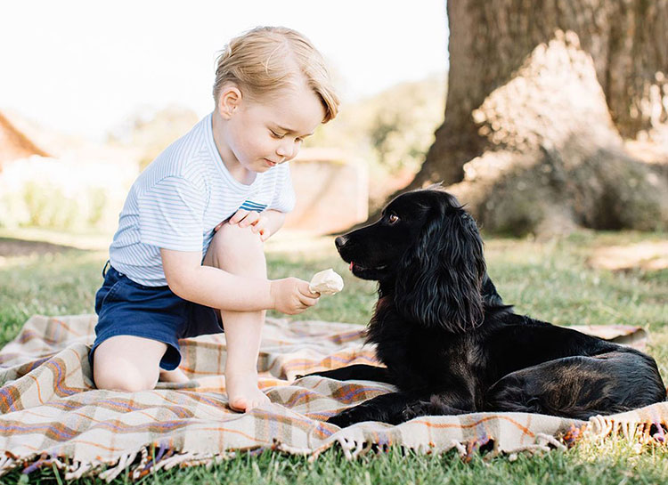 Кейт Миддлтон и принц Уильям объявили о кончине их любимого пса Лупо