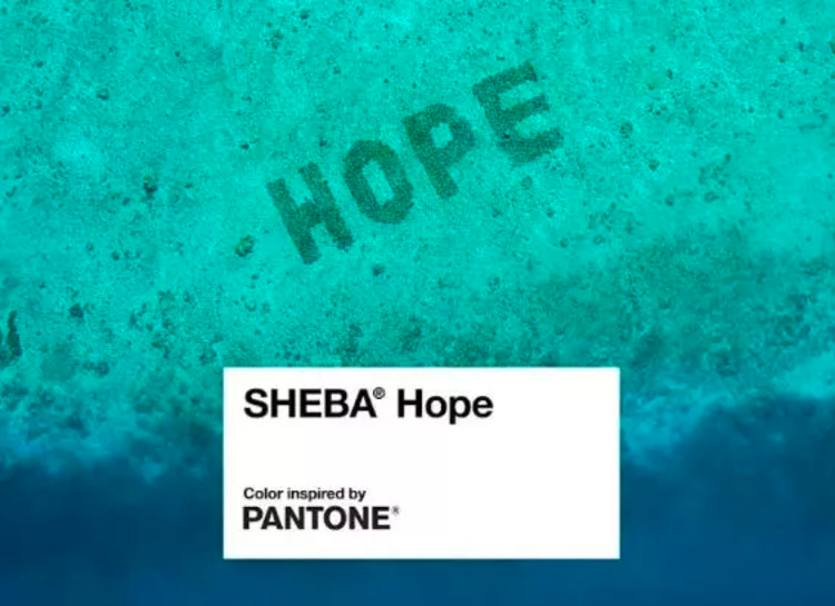 Институт цвета Pantone и SHEBA выпустили новый оттенок для привлечения внимания к экологии океанов