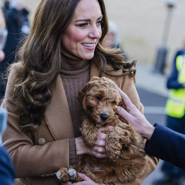 Дай лапу: собаки в роли питомцев королевских семей выступают очень давно, и особенно их любят британское монаршее семейство 🐶❤️⠀Собрали 20 фотодоказательств того, что собаки — лучшие друзья монархов по ссылке в описании👉🏻 @hello__ru #hello_ru #hello_russia