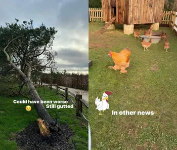 Из блога Дэвида Бекхэма