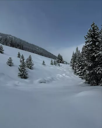 Из блога Гарнер