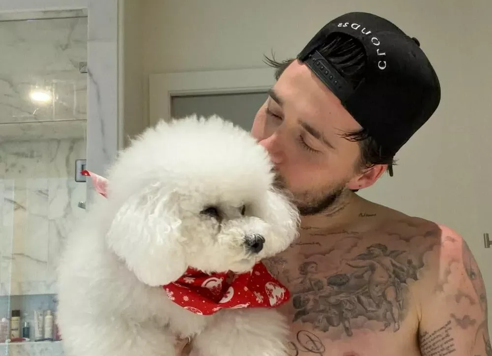 Бруклин Бекхэм заявил, что будет общаться с родителями только через адвокатов 