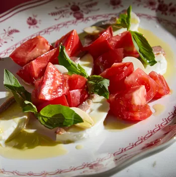 Моццарелла ди буффало