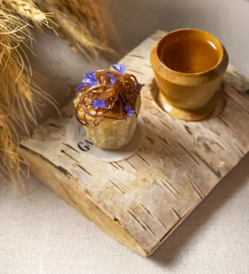 1 курс – “Вкус к действию” 