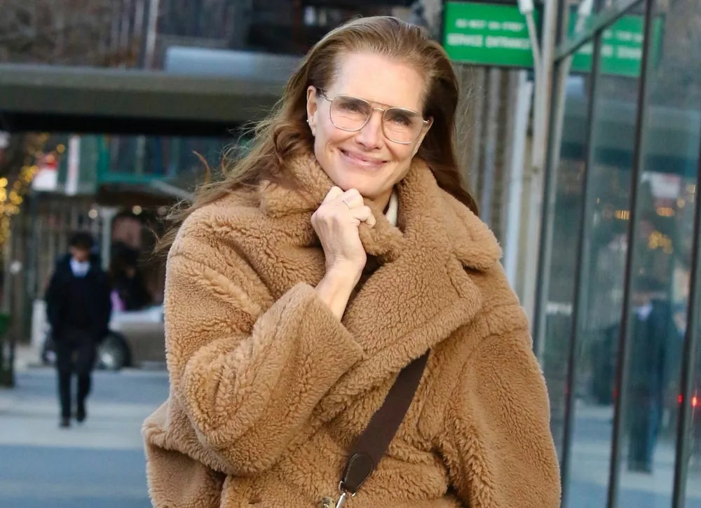  Как собрать повседневный зимний аутфит в стиле Брук Шилдс