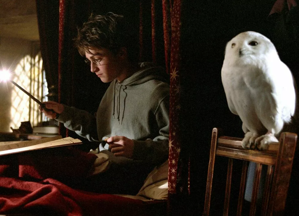  Дэниел Рэдклифф высказался об актерах нового Гарри Поттера