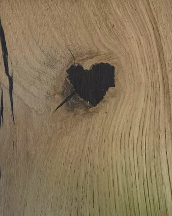 Из блога Евы Мендес