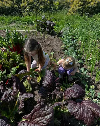 Элоиза и Лайла