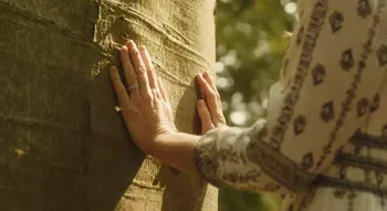 Из блога Кейт Миддлтон