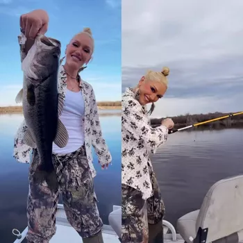 Из блога Гвен Стефани