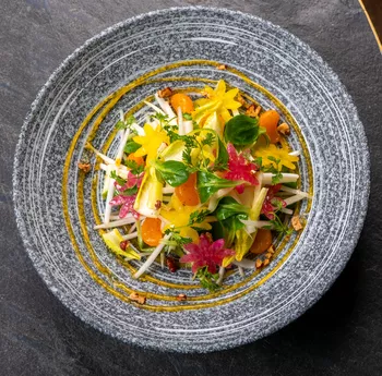 Салат из эндивия