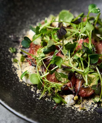 Жареный редис, постная сметана, пряная зелень