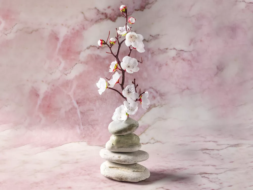 Цветущие камни в ресторане Yuma