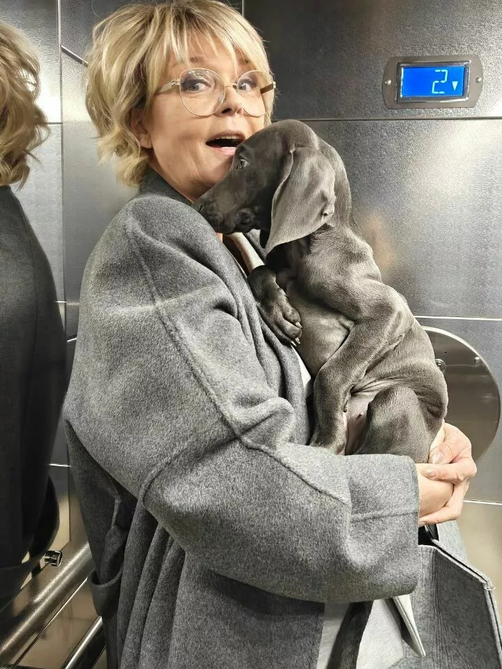 Юлия Меньшова