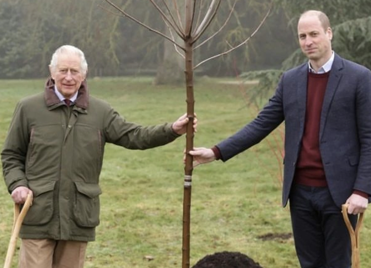 Insiders: Prince William has no plans to communicate with Prince Harry during his visit to London