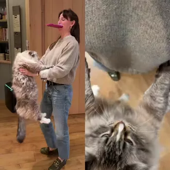 Дженнифер Гарнер с котом Мусом