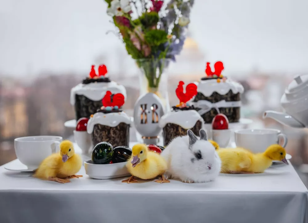 Ешь, путешествуй, люби