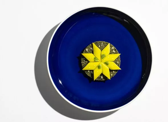 Где можно попробовать блюда самых звездных поваров мира 