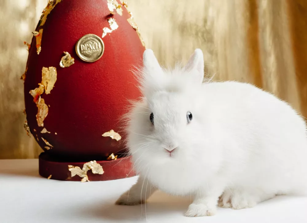 Где заказать самый вкусный кулич