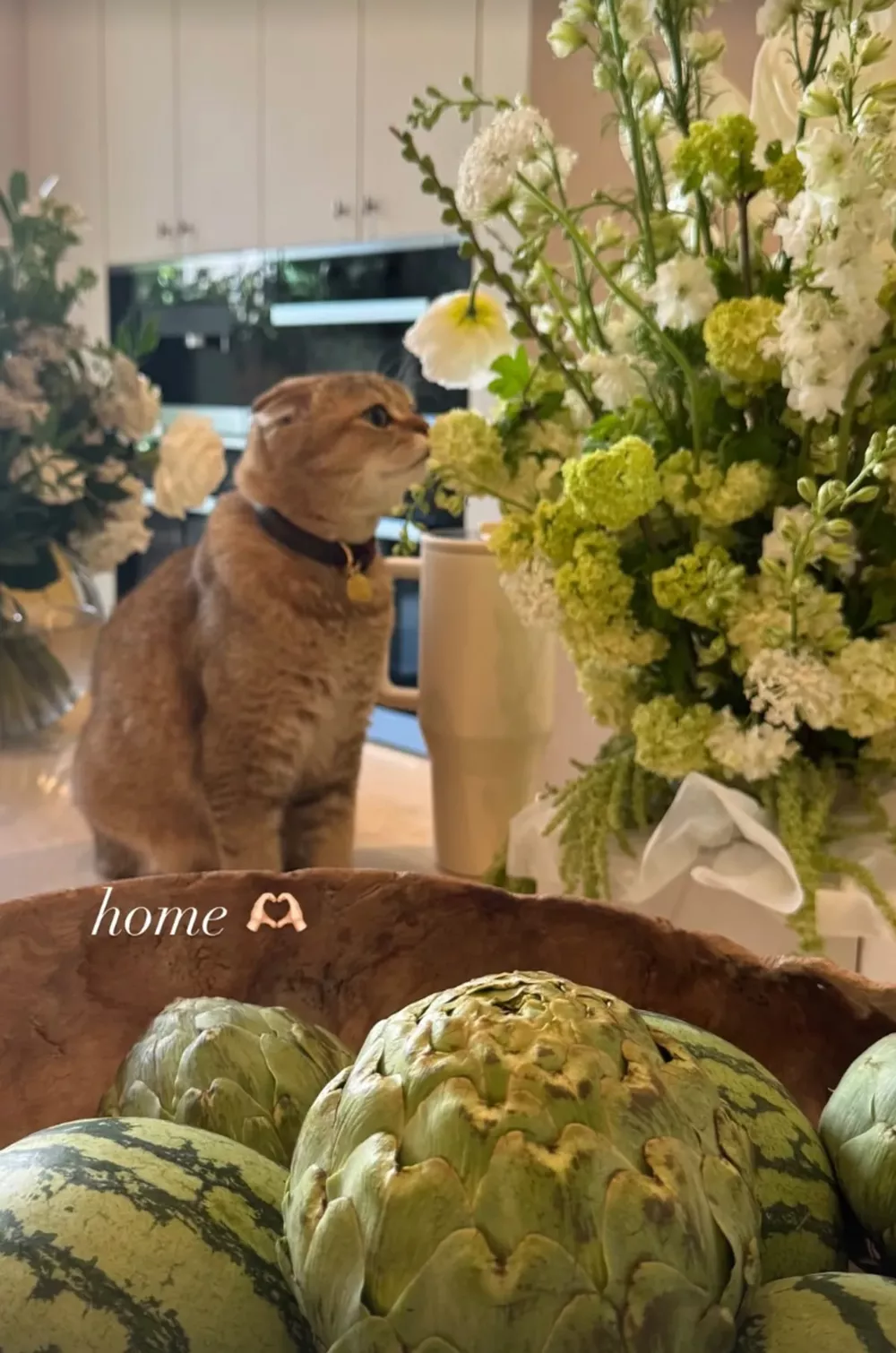 Из блога Дженнер