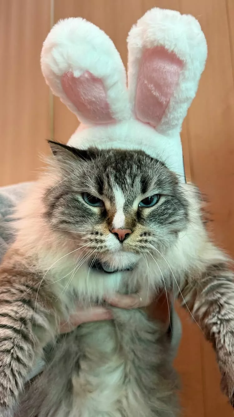 Из блога Дженнифер Гарнер