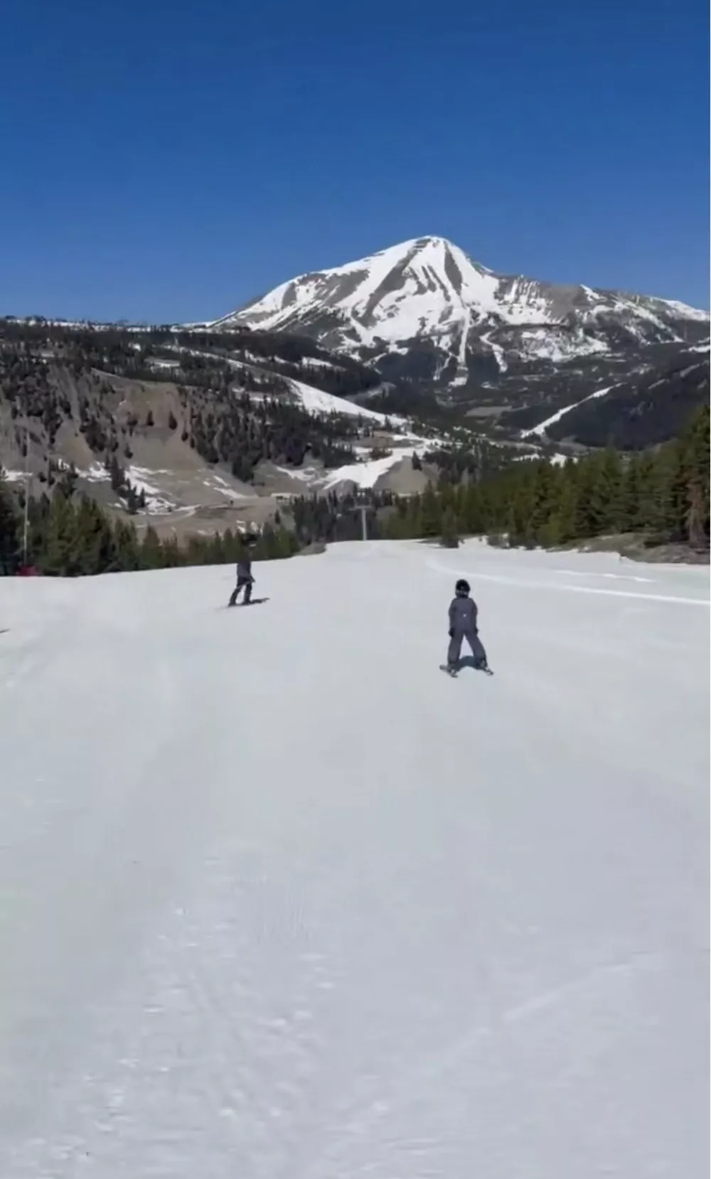 Гарри и Арчи