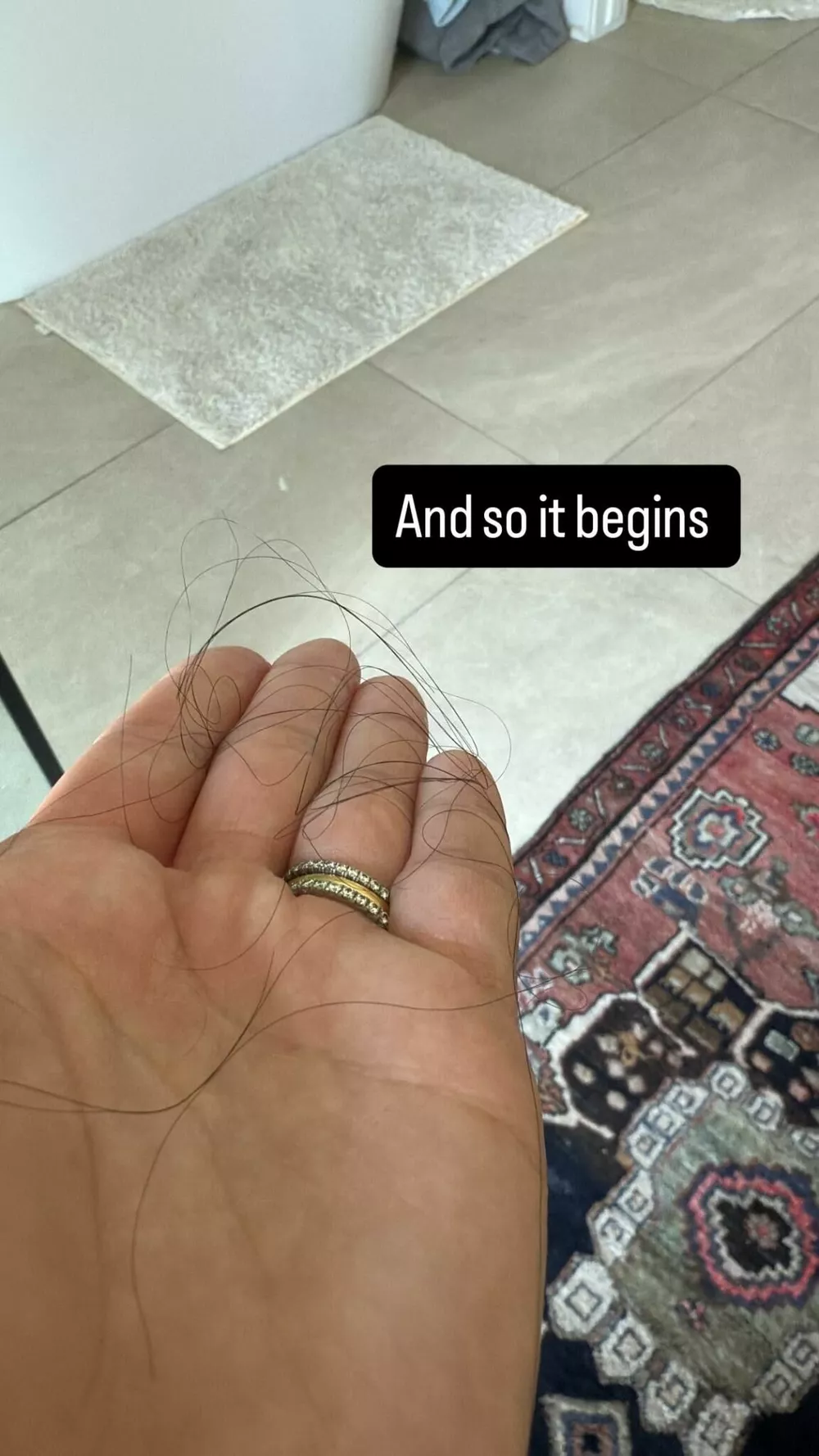 Из блога Ванессы