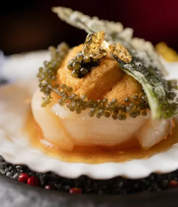 Far Eastern Scallop