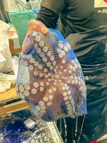 Из блога Тома Брэди