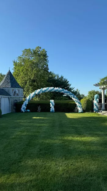 Из блога Николы Пельтц