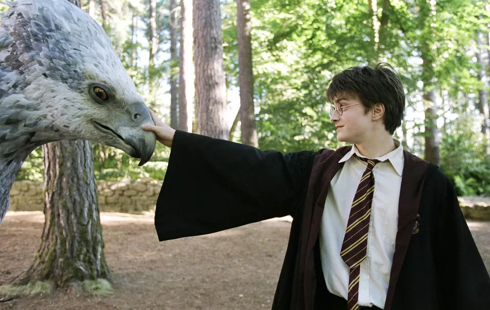 Кадр из фильма “Гарри Поттер”