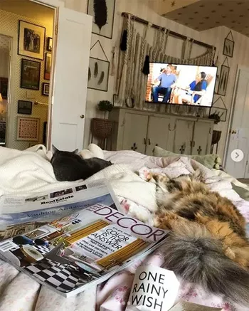 Из блога Дрю Бэрримор